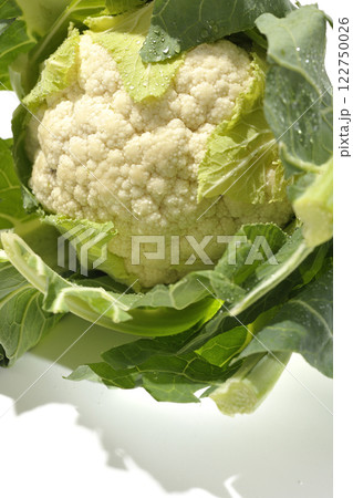 カリフラワーを白背景で撮影 122750026