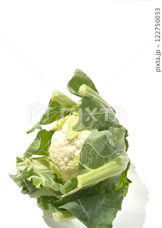カリフラワーを白背景で撮影 122750033
