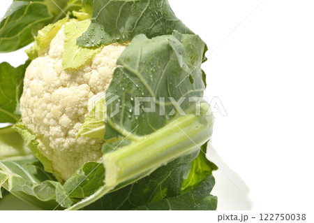 カリフラワーを白背景で撮影 122750038