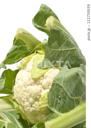 カリフラワーを白背景で撮影 122750039