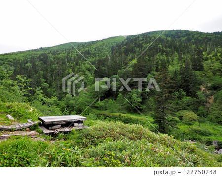 【山の風景】富山県・北アルプス・太郎平小屋~薬師沢小屋・展望がいい休憩所(2023年) 【山の風景】富山県・北アルプス・太郎平小屋~薬師沢小屋・展望がいい休憩所(2023年) 122750238