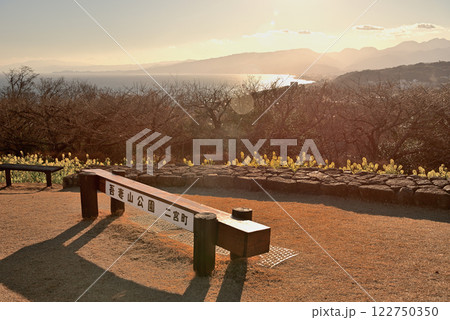 関東・吾妻山公園・西日の当たる山頂の芝生広場と、夕日に輝く春の海・神奈川県二宮町(1) 122750350