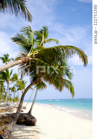 Beach with palm and white sand 122751380