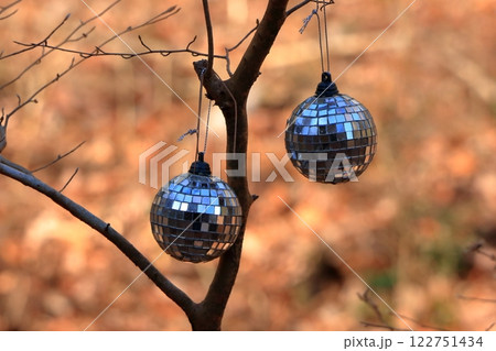 Disco ball hanging on a tree in a Japanese forest in Shuzenji Japan Disco ball hanging on a tree in a Japanese forest in Shuzenji Japan 122751434
