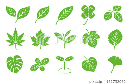 葉っぱ この葉っぱは何の葉っぱだと思いますか？雑草でしょうか？ - Yahoo!知恵袋