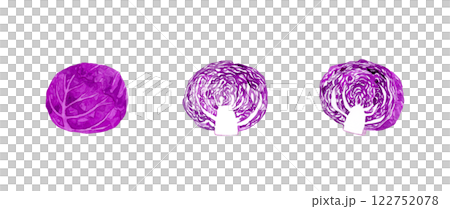 赤キャベツ（紫キャベツ）のセット　フレッシュな野菜の手描き水彩イラスト素材 122752078