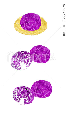 赤キャベツ（紫キャベツ）のセット　フレッシュな野菜の手描き水彩イラスト素材 122752079