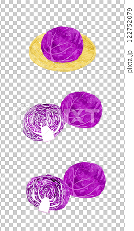 赤キャベツ（紫キャベツ）のセット　フレッシュな野菜の手描き水彩イラスト素材 122752079