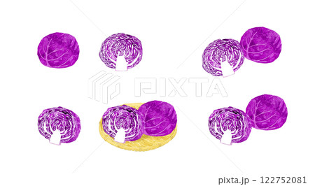 赤キャベツ（紫キャベツ）のセット　フレッシュな野菜の手描き水彩イラスト素材 122752081