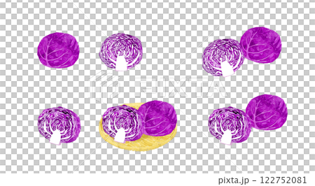 赤キャベツ（紫キャベツ）のセット　フレッシュな野菜の手描き水彩イラスト素材 122752081