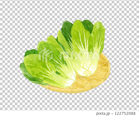 竹籃裡的大白菜 手繪水彩畫的新鮮蔬菜 122752088