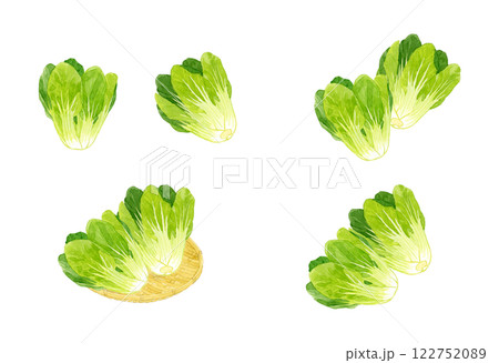 チンゲン菜のセット　フレッシュな野菜の手描き水彩イラスト素材 122752089