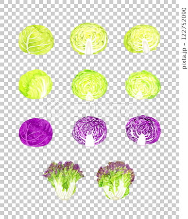 キャベツとレタスのセット フレッシュな野菜の手描き水彩イラスト素材 キャベツとレタスのセット フレッシュな野菜の手描き水彩イラスト素材 122752090