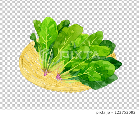 竹篩上的菠菜：手繪水彩畫的新鮮蔬菜 122752092