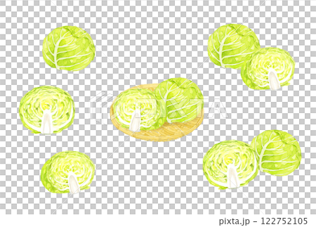 キャベツのセット　フレッシュな野菜の手描き水彩イラスト素材 122752105