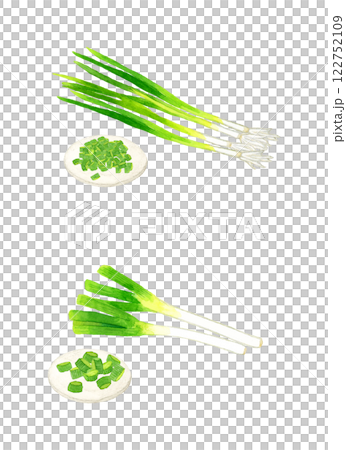 切好的蔥（長蔥、萬能蔥）的套裝手繪水彩畫的新鮮蔬菜 122752109