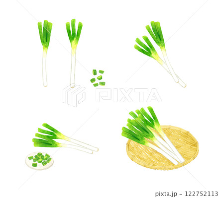 長ねぎのセット フレッシュな野菜の手描き水彩イラスト素材 長ねぎのセット フレッシュな野菜の手描き水彩イラスト素材 122752113
