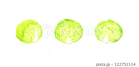 レタスのセット フレッシュな野菜の手描き水彩イラスト素材 レタスのセット フレッシュな野菜の手描き水彩イラスト素材 122752114