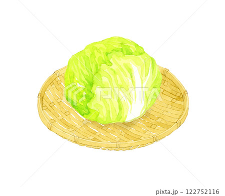 竹ざる乗ったレタス フレッシュな野菜の手描き水彩イラスト素材 竹ざる乗ったレタス フレッシュな野菜の手描き水彩イラスト素材 122752116