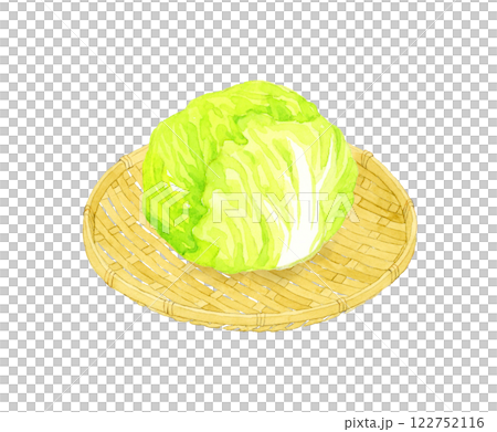 Lettuce on a bamboo sieve: Hand-drawn watercolor illustration of fresh vegetables Lettuce on a bamboo sieve: Hand-drawn watercolor illustration of fresh vegetables 122752116