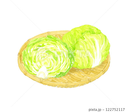 竹ざる乗ったレタス フレッシュな野菜の手描き水彩イラスト素材 竹ざる乗ったレタス フレッシュな野菜の手描き水彩イラスト素材 122752117