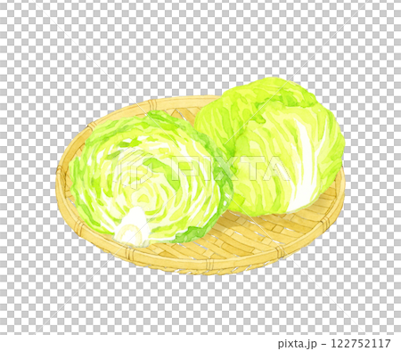 竹ざる乗ったレタス フレッシュな野菜の手描き水彩イラスト素材 竹ざる乗ったレタス フレッシュな野菜の手描き水彩イラスト素材 122752117