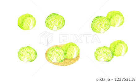 レタスのセット　フレッシュな野菜の手描き水彩イラスト素材 122752119