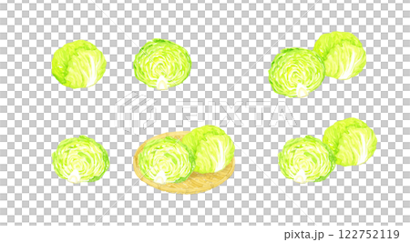 レタスのセット　フレッシュな野菜の手描き水彩イラスト素材 122752119
