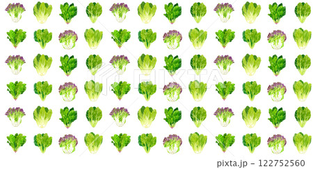 葉物野菜のパターン　手描き水彩イラストの食べ物柄 122752560