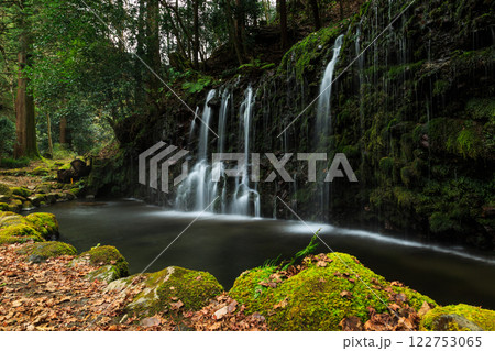 箱根　箱根神社　神社　HAKONE 122753065