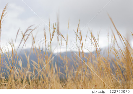 箱根 箱根神社 神社 HAKONE 箱根 箱根神社 神社 HAKONE 122753070