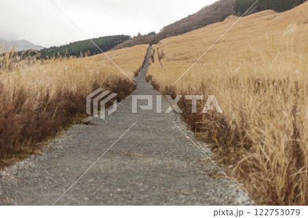 箱根　箱根神社　神社　HAKONE 122753079