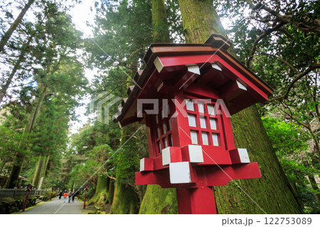 箱根　箱根神社　神社　HAKONE 122753089