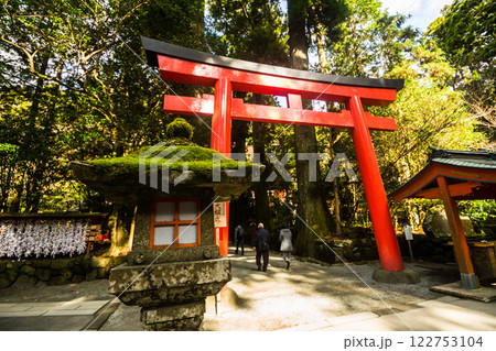 箱根　箱根神社　神社　HAKONE 122753104