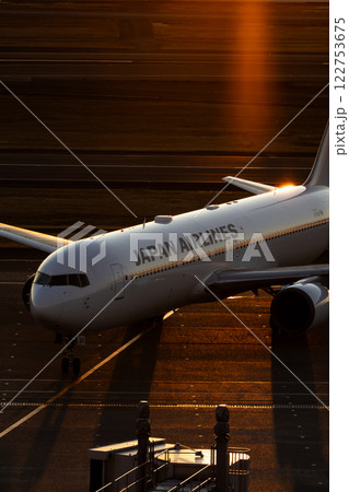 到着したジェット旅客機 122753675