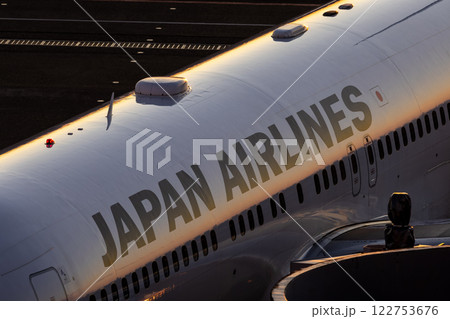 羽田空港に着陸した飛行機 羽田空港に着陸した飛行機 122753676