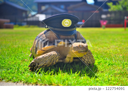 関西・近畿・餘部駅(余部駅)・道の駅の公園に勤務する空の駅の駅長、亀のそらちゃん・兵庫県香美町(6) 122754091