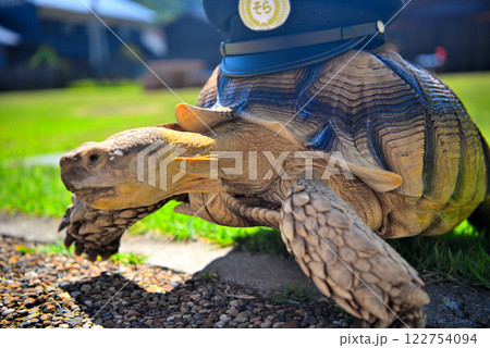 関西・近畿・餘部駅(余部駅)・道の駅の公園に勤務する空の駅の駅長、亀のそらちゃん・兵庫県香美町(9) 122754094