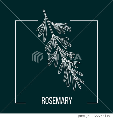 Rosemary floral hand drawn logo template 122754149