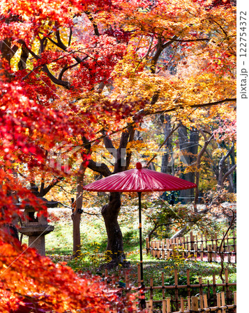 晩秋の秋晴れに映える鮮やかに色づいた紅葉と赤い和傘の景色 122754372