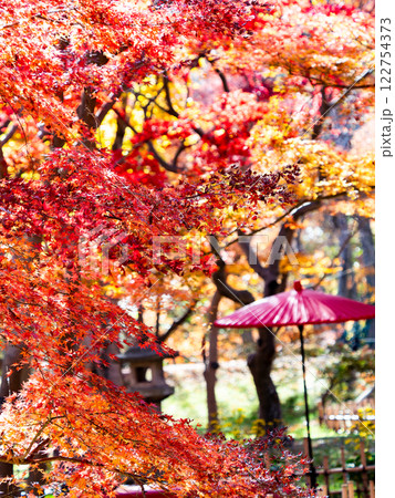 晩秋の秋晴れに映える鮮やかに色づいた紅葉と赤い和傘の景色 122754373