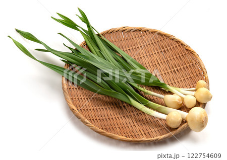 スプラウト野菜の発芽大蒜 122754609