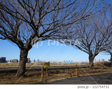 2月の青空 122754731