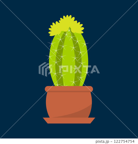 Houseplant cactus in a pot, natural decor for home and interior Houseplant cactus in a pot, natural decor for home and interior 122754754