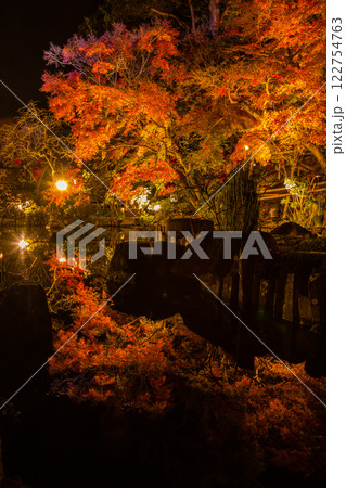 鎌倉 長谷寺ライトアップ 鎌倉 長谷寺ライトアップ 122754763