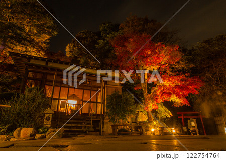 鎌倉　長谷寺ライトアップ 122754764