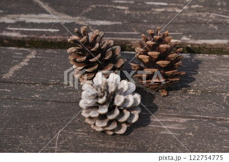 地面に落ちた松ぼっくり 122754775