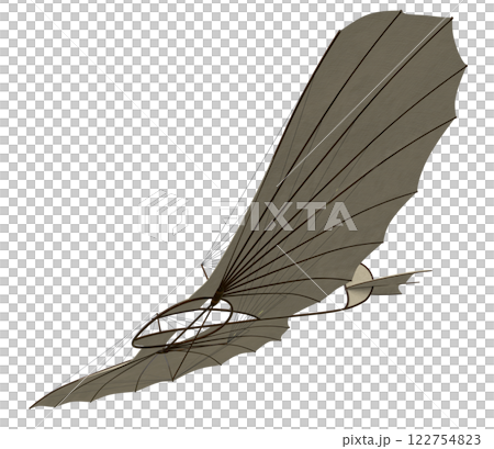 オットーリリエンタールのグライダー 122754823