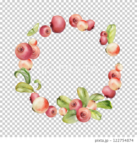 Cranberry lingonberry on branch with green leaves, ripe forest berry wintergreen bearberry teaberry cluster group, watercolor hand drawn. Isolated circle wreath frame. Farmers market, home preserves 122754874