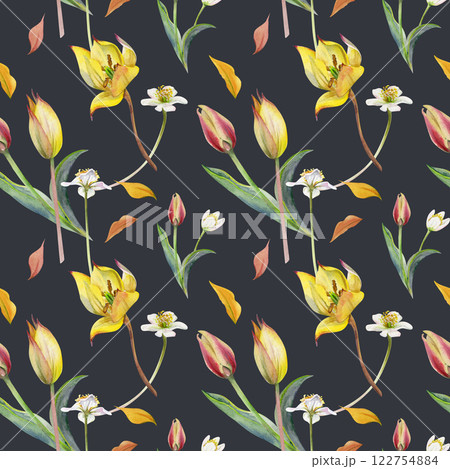 Spring flowers, white forest anemone primrose, yellow and red tulip, hand drawn in watercolor. Botanical illustration seamless pattern, bulbous wildflowers. Wedding stationery, florist shop, paper. Spring flowers, white forest anemone primrose, yellow and red tulip, hand drawn in watercolor. Botanical illustration seamless pattern, bulbous wildflowers. Wedding stationery, florist shop, paper. 122754884